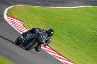 anglesey;brands-hatch;cadwell-park;croft;donington-park;enduro-digital-images;event-digital-images;eventdigitalimages;mallory;no-limits;oulton-park;peter-wileman-photography;racing-digital-images;silverstone;snetterton;trackday-digital-images;trackday-photos;vmcc-banbury-run;welsh-2-day-enduro